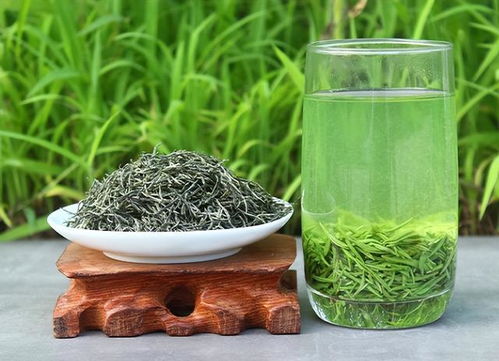 行家眼中怪象 河南茶桌上的信陽毛尖與無名寵兒