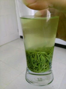 信陽毛尖品鑒指南 探尋手工茶的味美色香